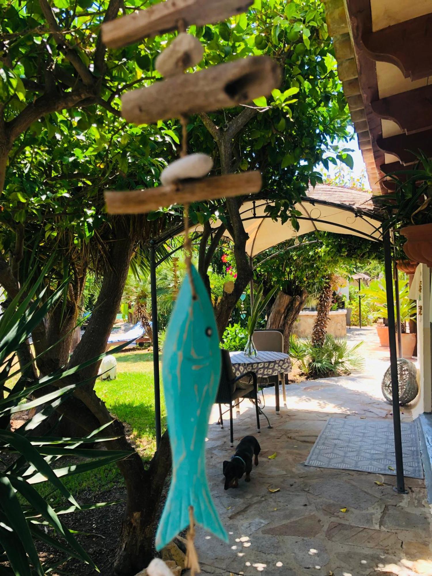 Casita Limon Andratx Villa Eksteriør billede